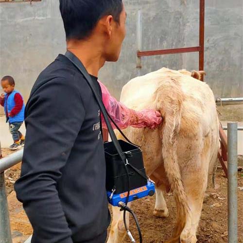 Pingdingshan farmers BXL-v50 type veterinary ultrasonic detector used in the field