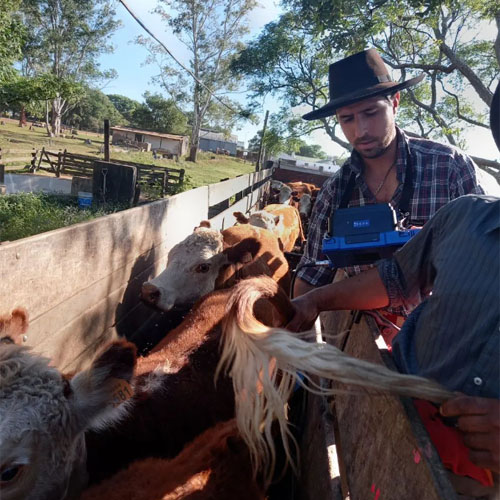 Ecuadorian Customer Couldn't Wait to Try Out the BXL-V50