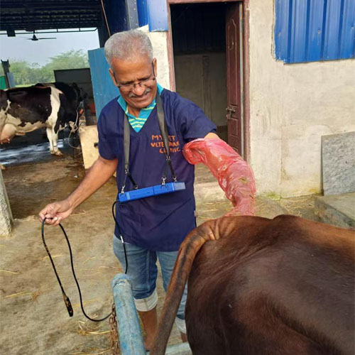 Indian Client and the BXL-V50 Veterinary Ultrasound for Cattle