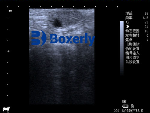 Handheld Ultrasound Devices Enhance Livestock Pregnancy Detection(图3)