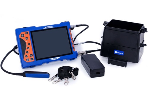 Diagnostic Value of Transabdominal Ultrasound in Monitoring Reproductive Disorders in Swine(图3)