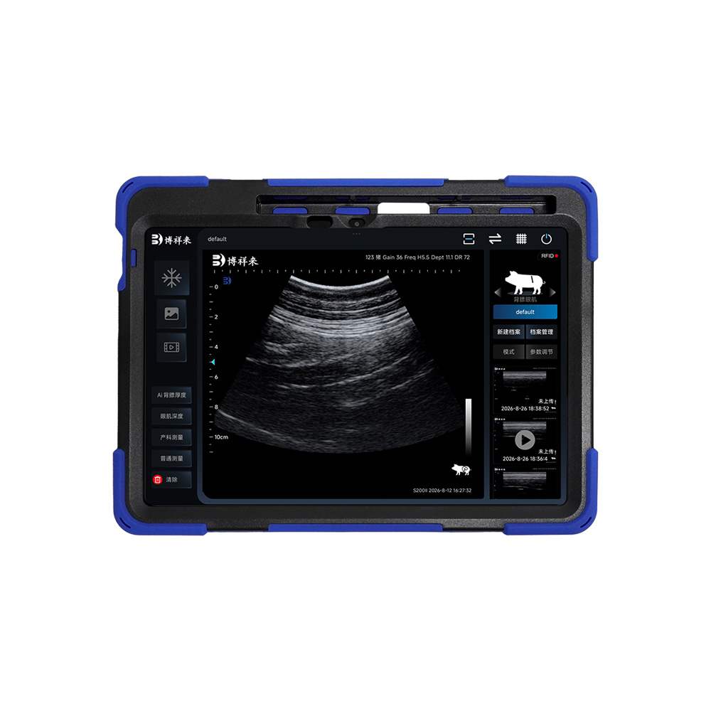 BXL-S201 II Pig and Sheep Abdominal Ultrasound Convex Probe