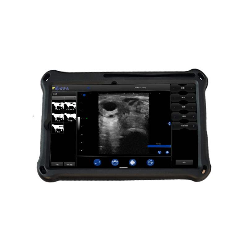 BXL-S203 II Sheep-specific Veterinary Wireless Doppler Ultrasound