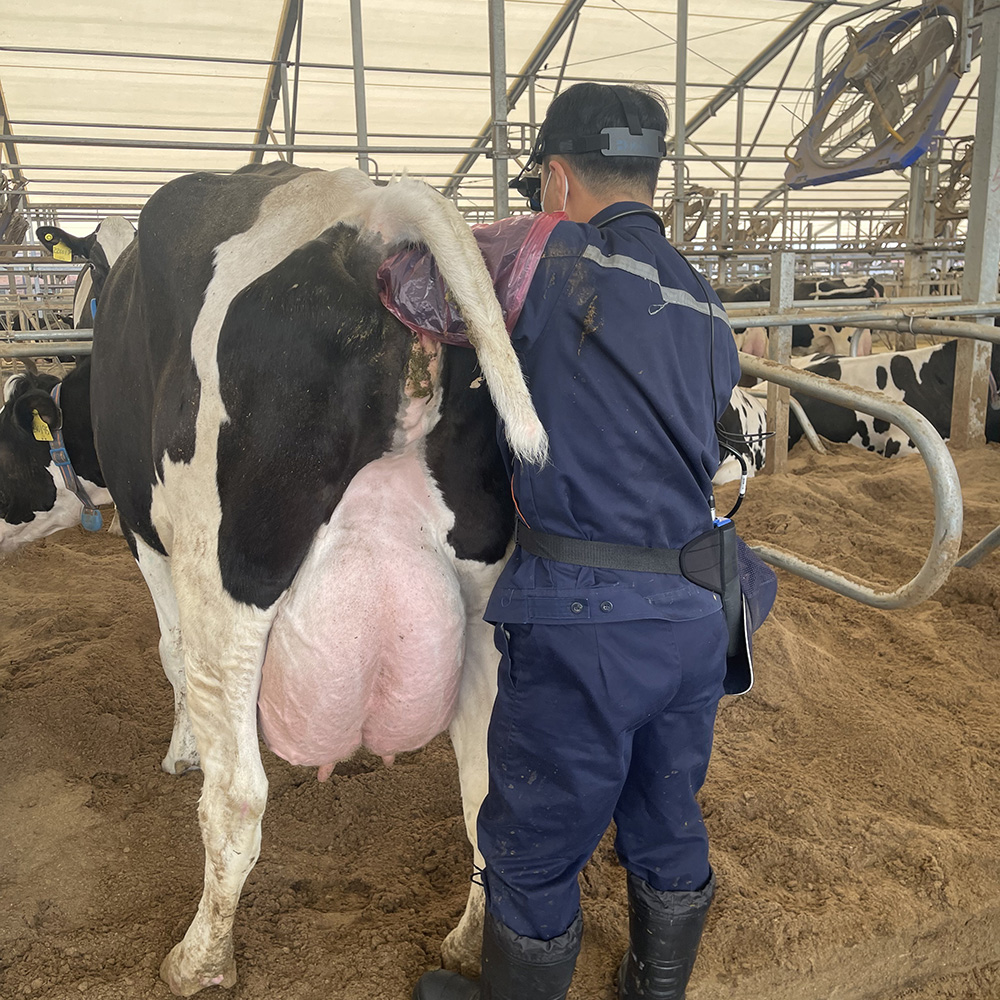 BXL-V60 Eyepiece Vet Ultrasound | Portable Multi-Function Device for Large Farms