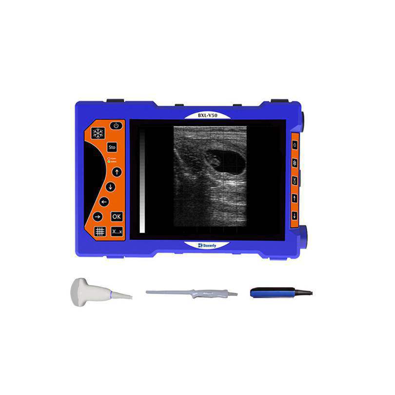 BXL-V50 Portable Vet Ultrasound | 8" HD Screen | Flagship Handheld Scanner